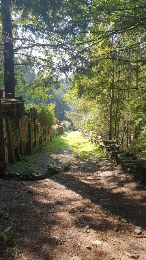 Ty Golchi - Cosy Traditional In * Corris